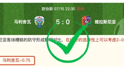 赢彩网 061310 29