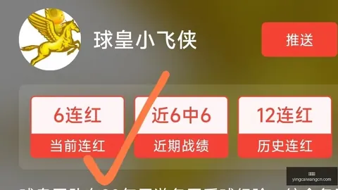 赢彩网 061310 8